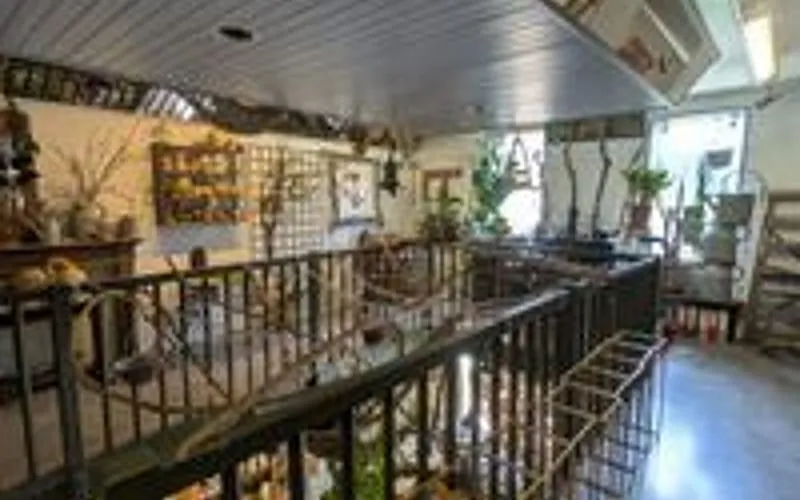 Photo 10