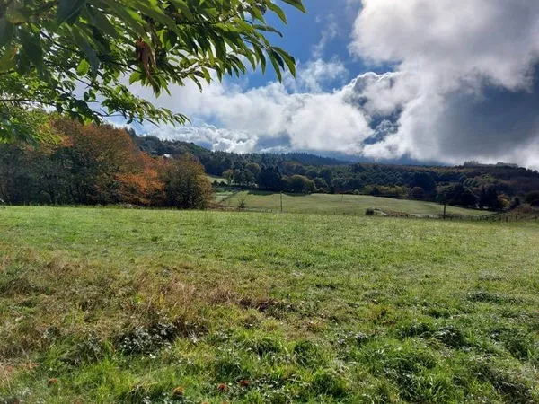 Terrain à bâtir de 0 pièces principales