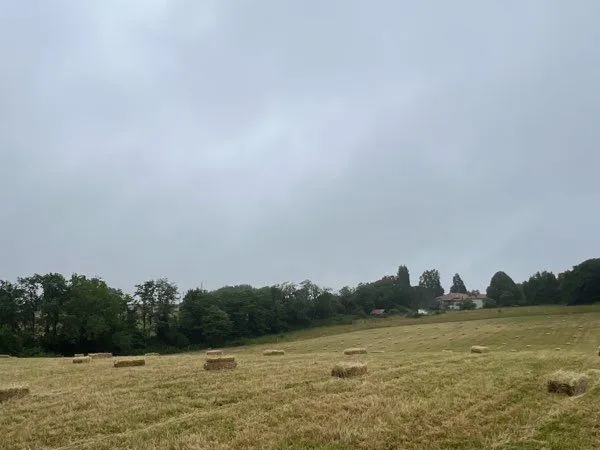 Terrain agricole à louer pour pâturage