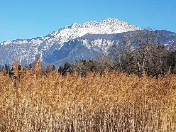 Terrain constructible St Jean d'Hérans (Trièves)