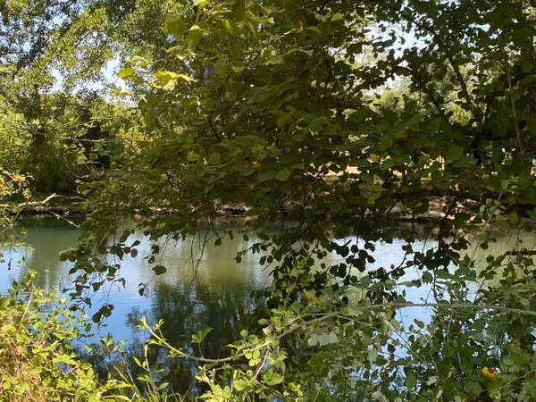 Terrain de loisirs au bord de la Sèvre Niortaise - La Crèche (10 min de Niort)