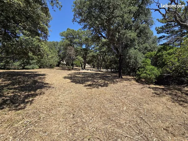 Terrain 1330 m² Sarrola-Carcopino