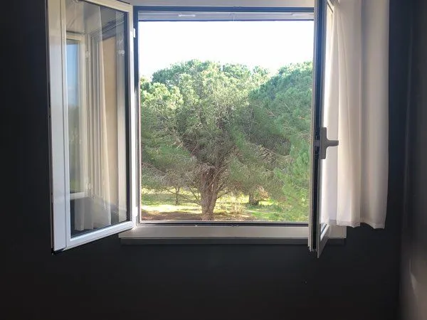 Location appartement t3 BIGUGLIA