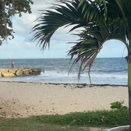 Chambre meublée dans colocation de standing - Le Gosier Anse Vinaigri