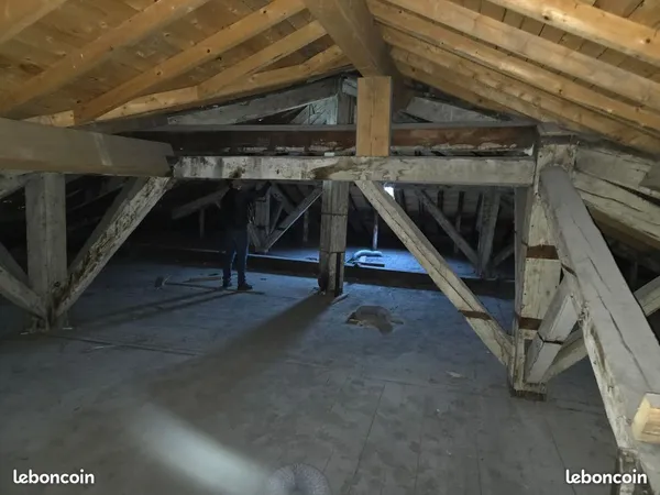 Combles aménageables à fort potentiel - 177 m² au sol / 50 m² habitables