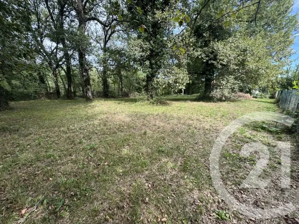 Terrain 5000 m²