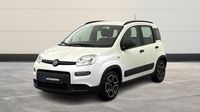 Fiat Panda 1.0 70ch BSG S&S City Life (Juin2021)