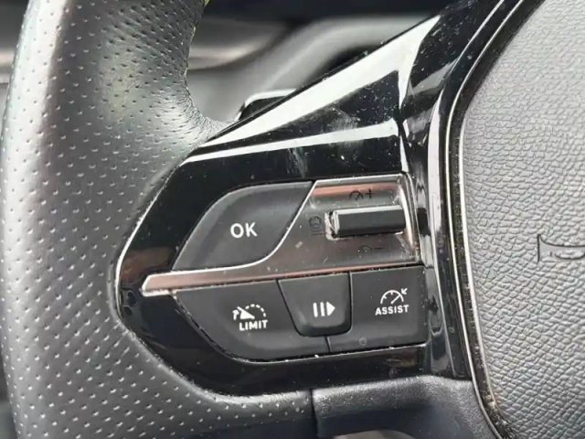 Peugeot 308 phev 225 e-eat8 — photo 15