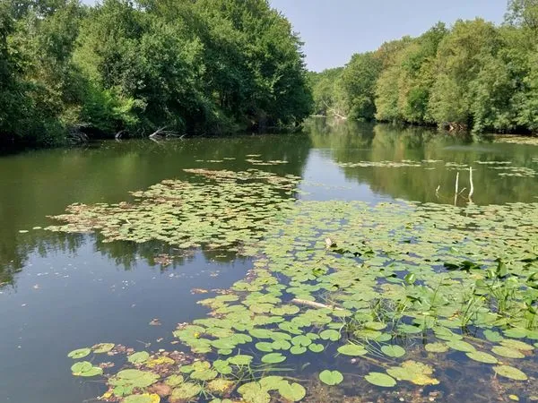 Terrain de loisirs à Mauvières 36370