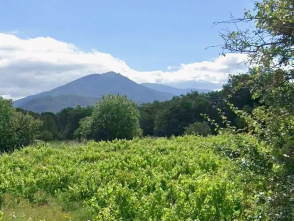Terrain 715 m²
