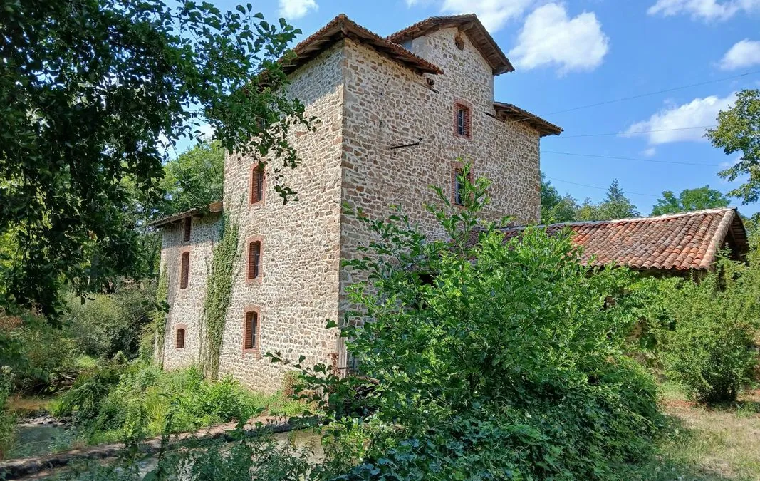 Photo 1