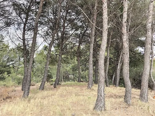 Terrain 566 m²