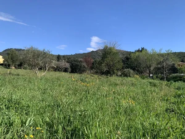 Terrain 614 m²