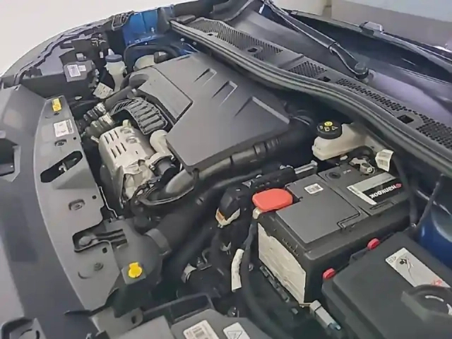 Peugeot 2008 puretech 155 s&amp;s eat8 — photo 18