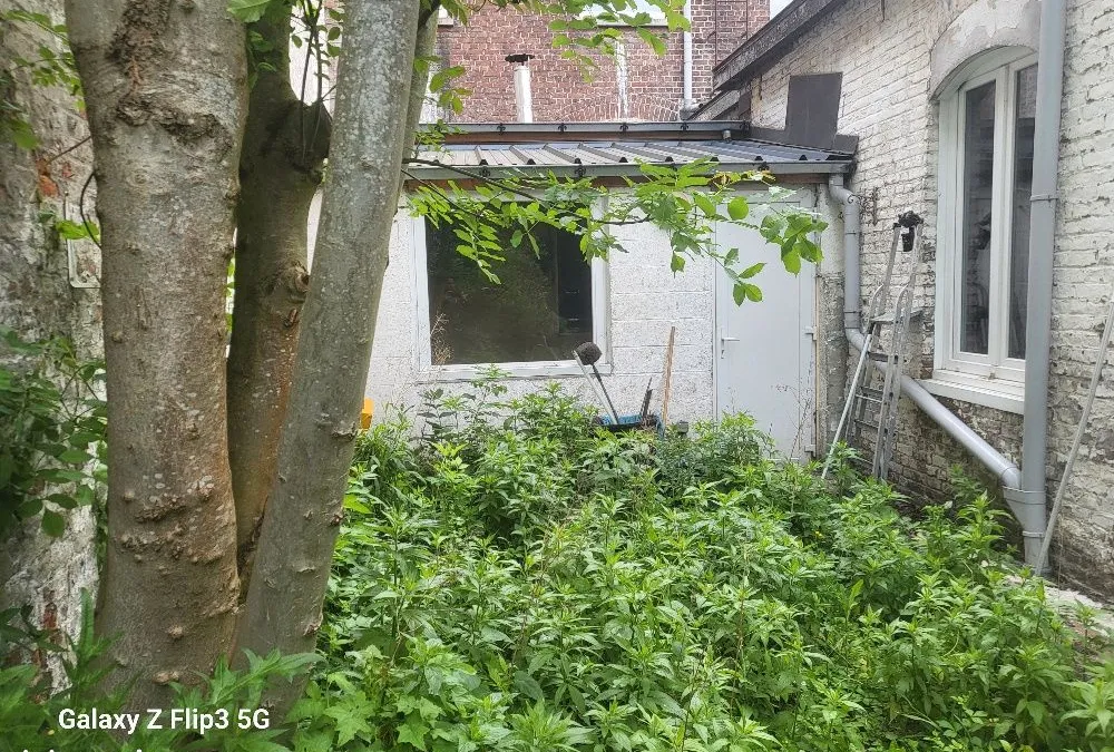 Photo 12