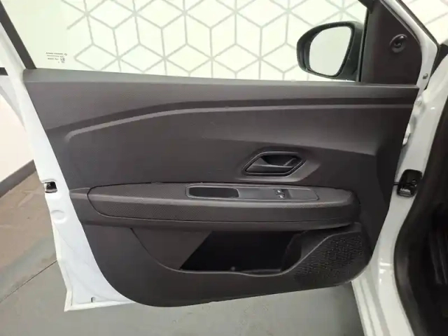 Dacia Sandero eco-g 100 — photo 21