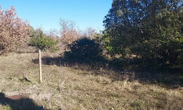 Terrain 600 m²