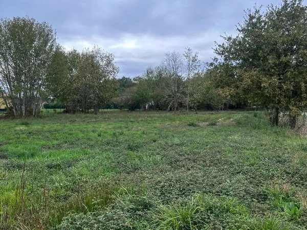 Terrain 1335 m²