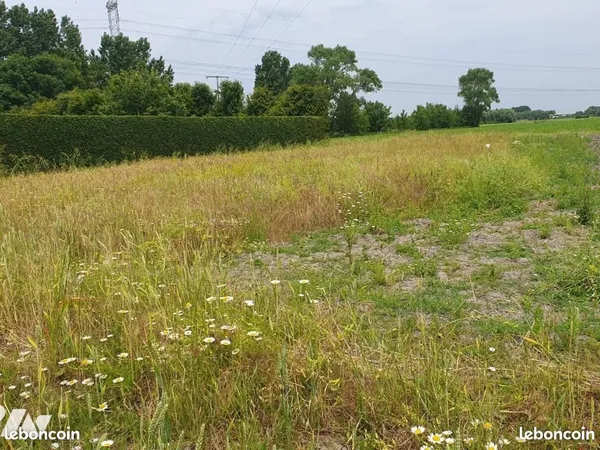 Terrain à bâtir