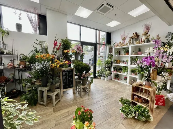 Fonds de commerce 35 m²