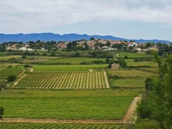 Terrain 246 m²