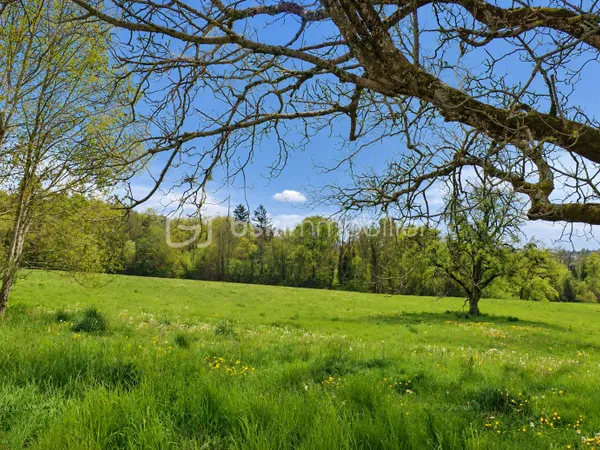 Terrain 645 m²