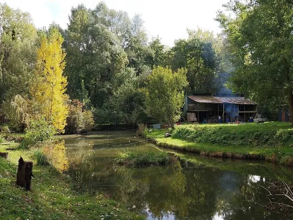 Terrain 5390 m²