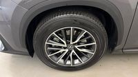 Lexus Nx 450h+ Luxe 4WD — photo 20