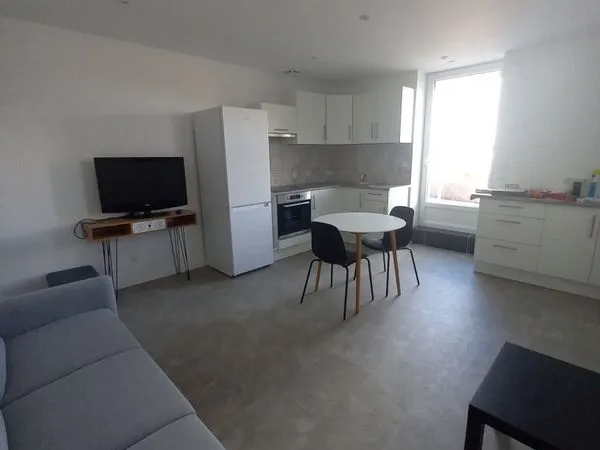 Location appartement meublé (dans une maison) de 40m2 à Saint Etienne avec grande terrasse