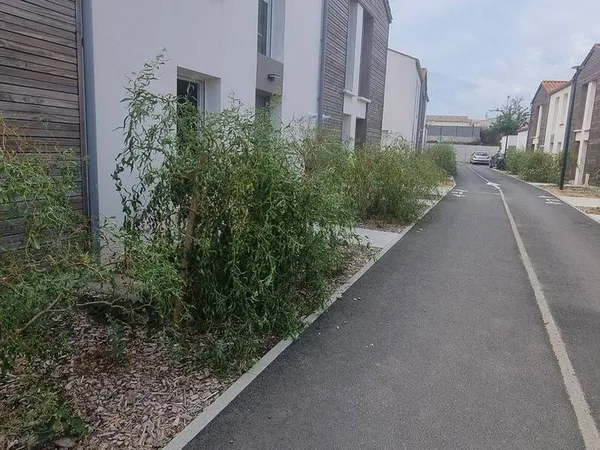 Appartement 5 pièces 101 m²