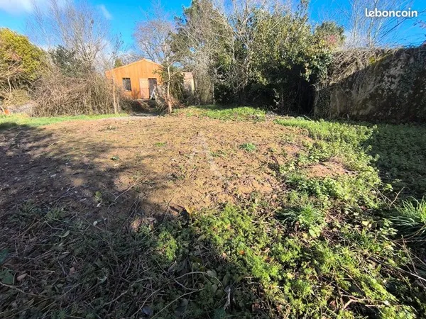 Terrain 546 m² AVRILLE