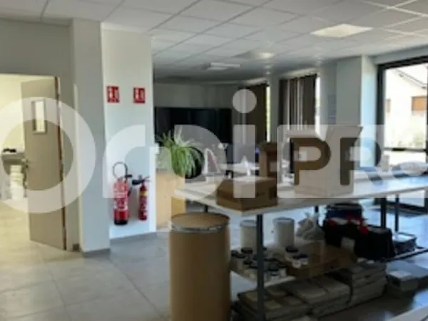 Bureaux 1 pièce 296 m²