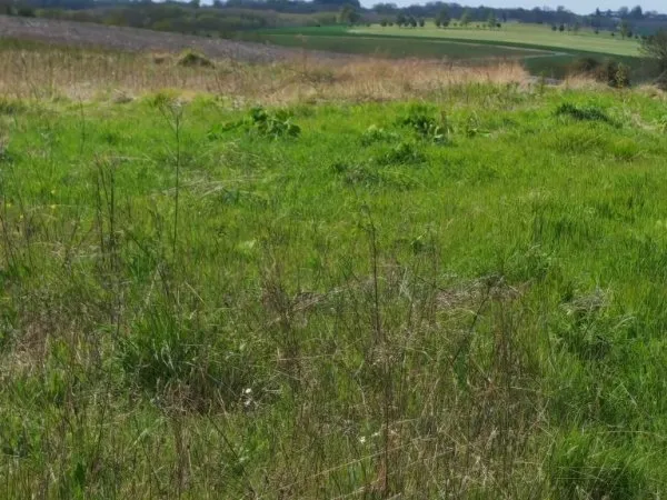 Terrain à bâtir de 664 m2 au prix de 61440 € à PREGUILLAC.