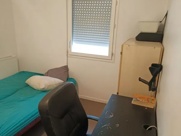 Colocation chambre