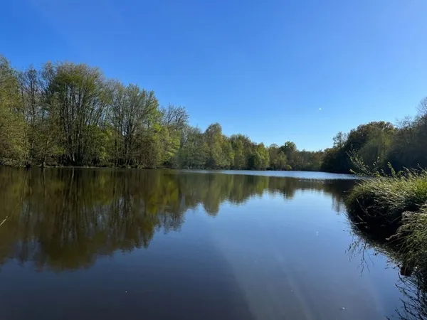 Montereau. Domaine de Chasse de 94,8 ha, aux portes de la Solog