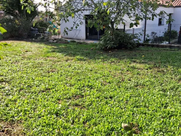 Terrain 546 m²