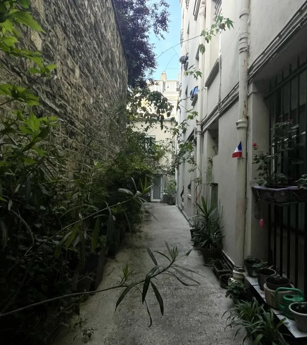 Photo 6