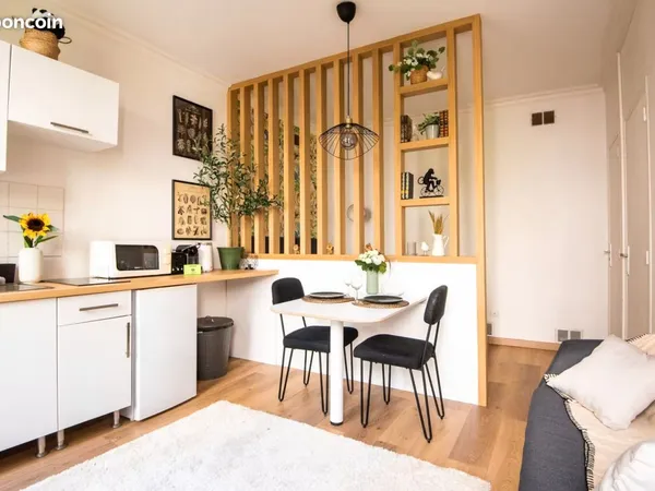 Studio meublé rénové 20 m²