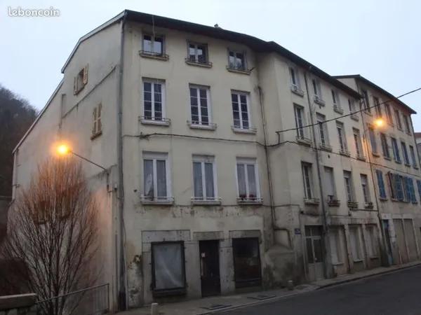 Appartement vienne saint Martin