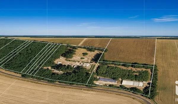 Terrain 11299 m²