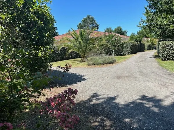 Hôtellerie et restauration Vente Sainte-Eulalie-en-Born  36m² 439000€