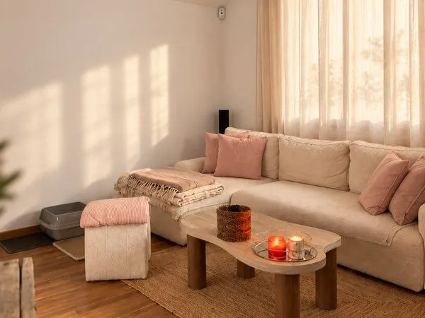 Maison en location