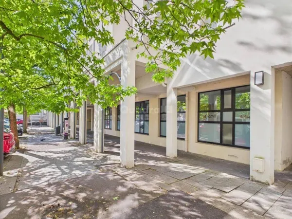 Local 310 m²