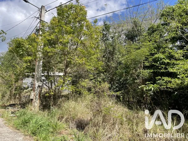Terrain 11265 m²
