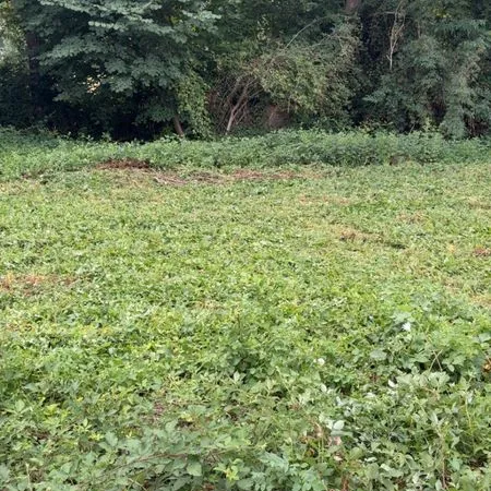 Terrain constructible Arcizac Adour