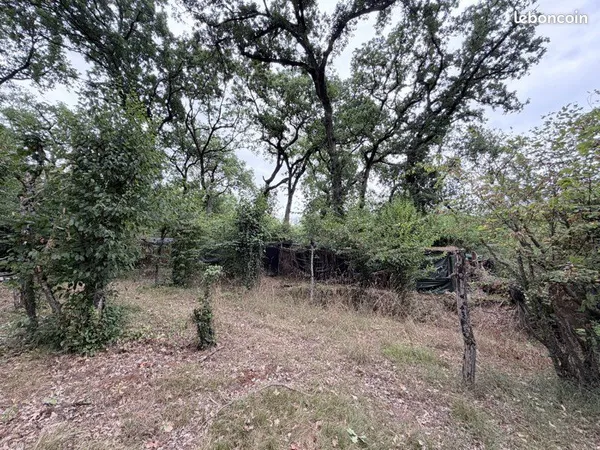 3 hectare bois à palombiere