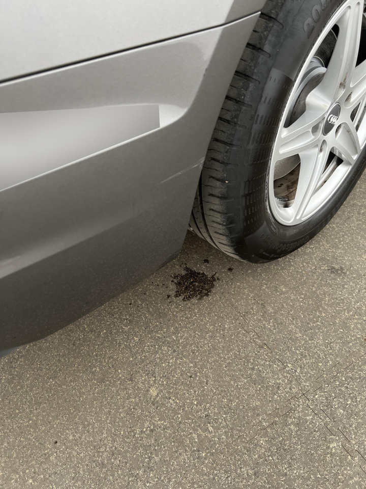 Audi A4 Avant — photo 34