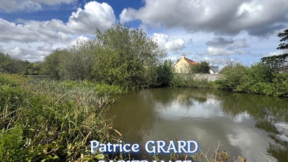 Photo 31