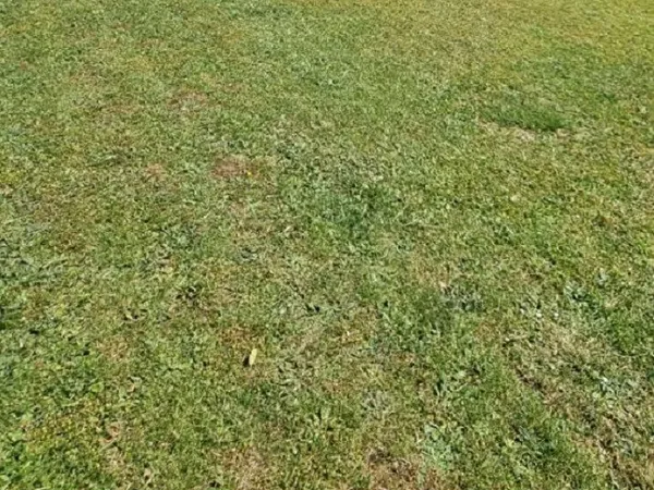 Terrain 350 m²