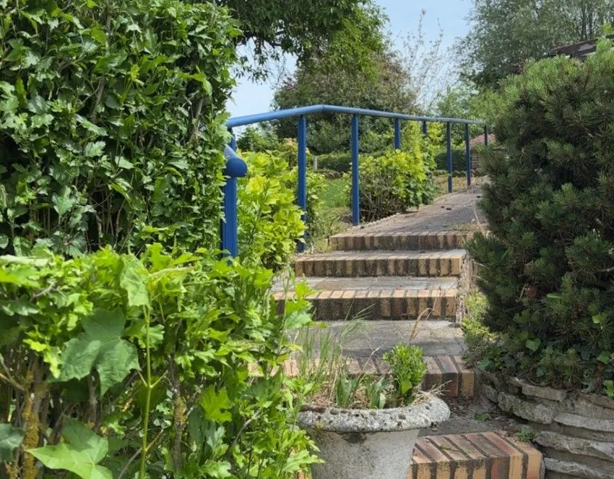 Photo 20